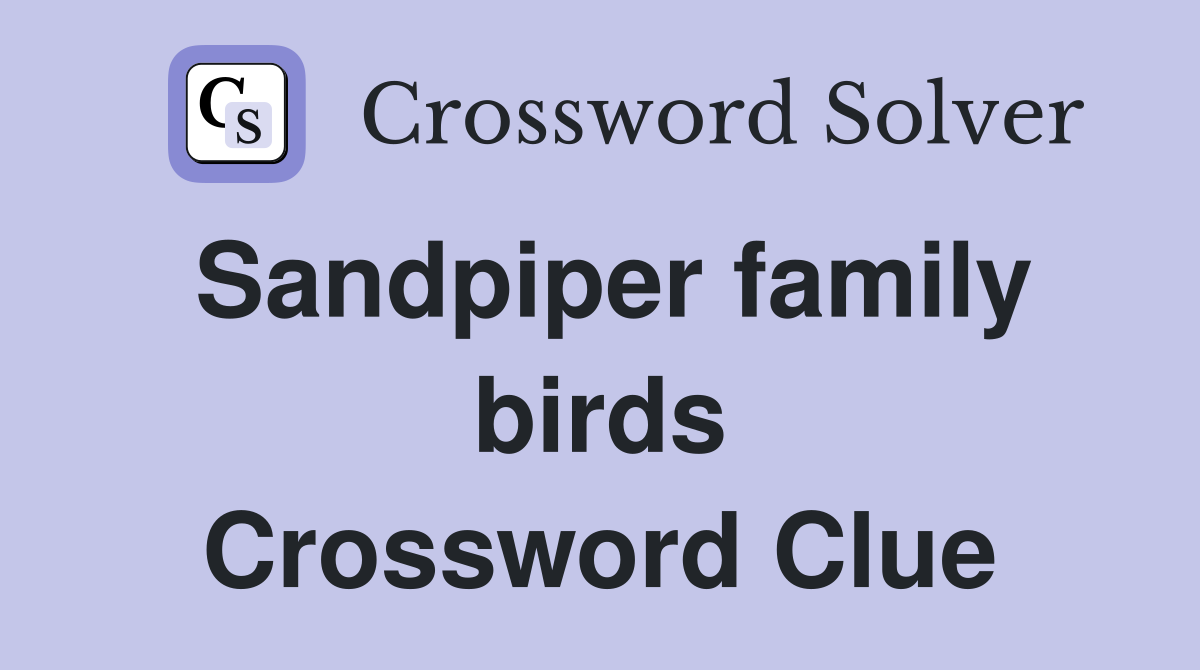 Sandpiper family birds Crossword Clue