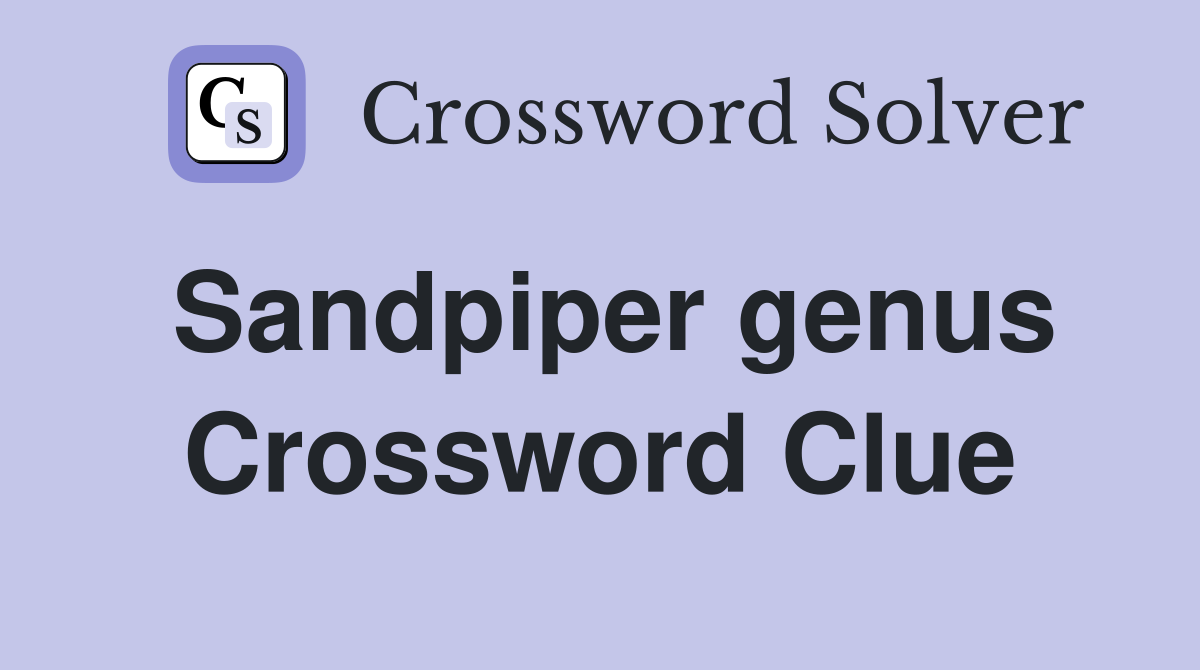 Sandpiper genus Crossword Clue