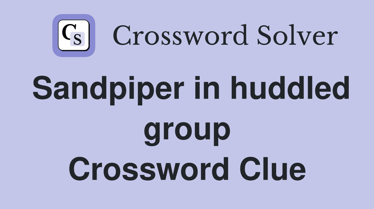 Sandpiper in huddled group Crossword Clue