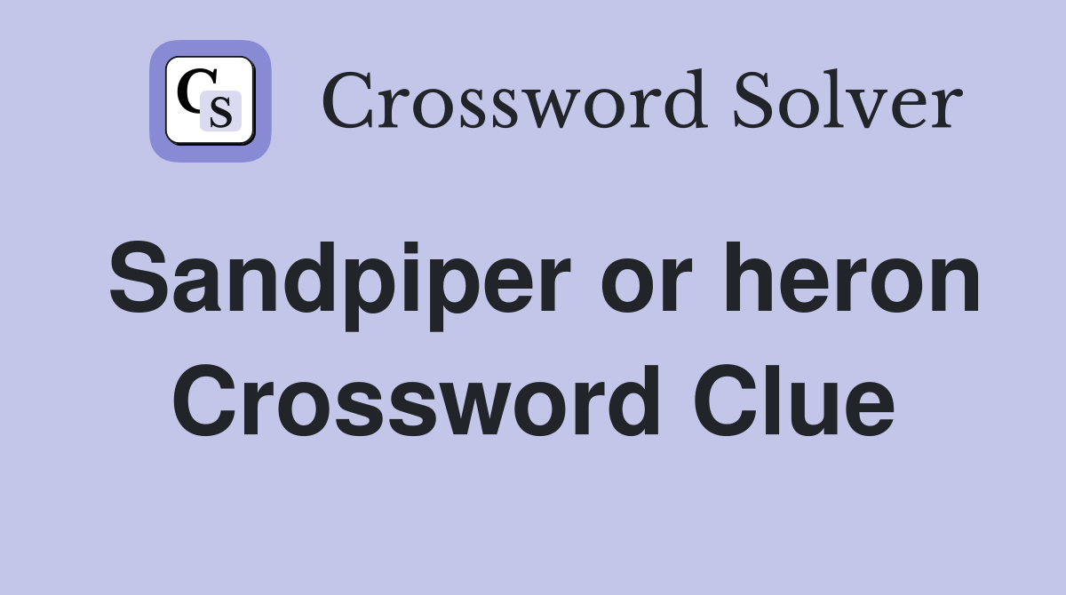 Sandpiper or heron Crossword Clue