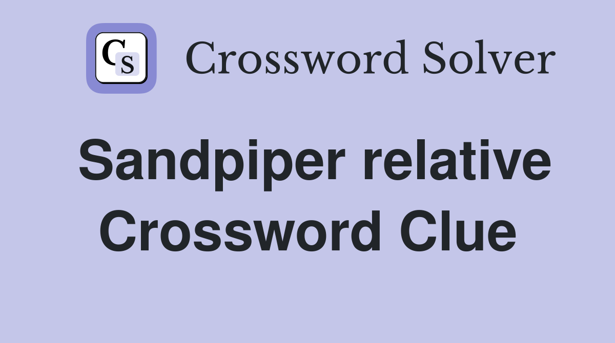 Sandpiper relative Crossword Clue