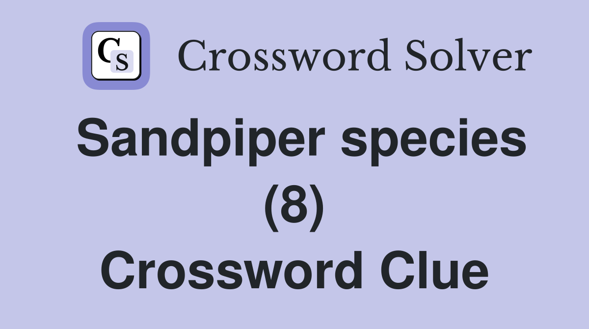 Sandpiper species (8) Crossword Clue