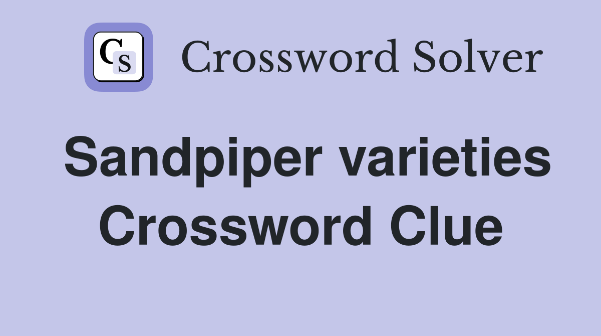 Sandpiper varieties Crossword Clue