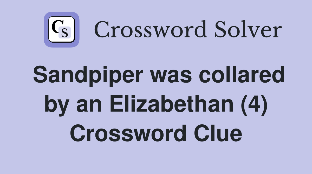 Sandpiper was collared by an Elizabethan (4) Crossword Clue