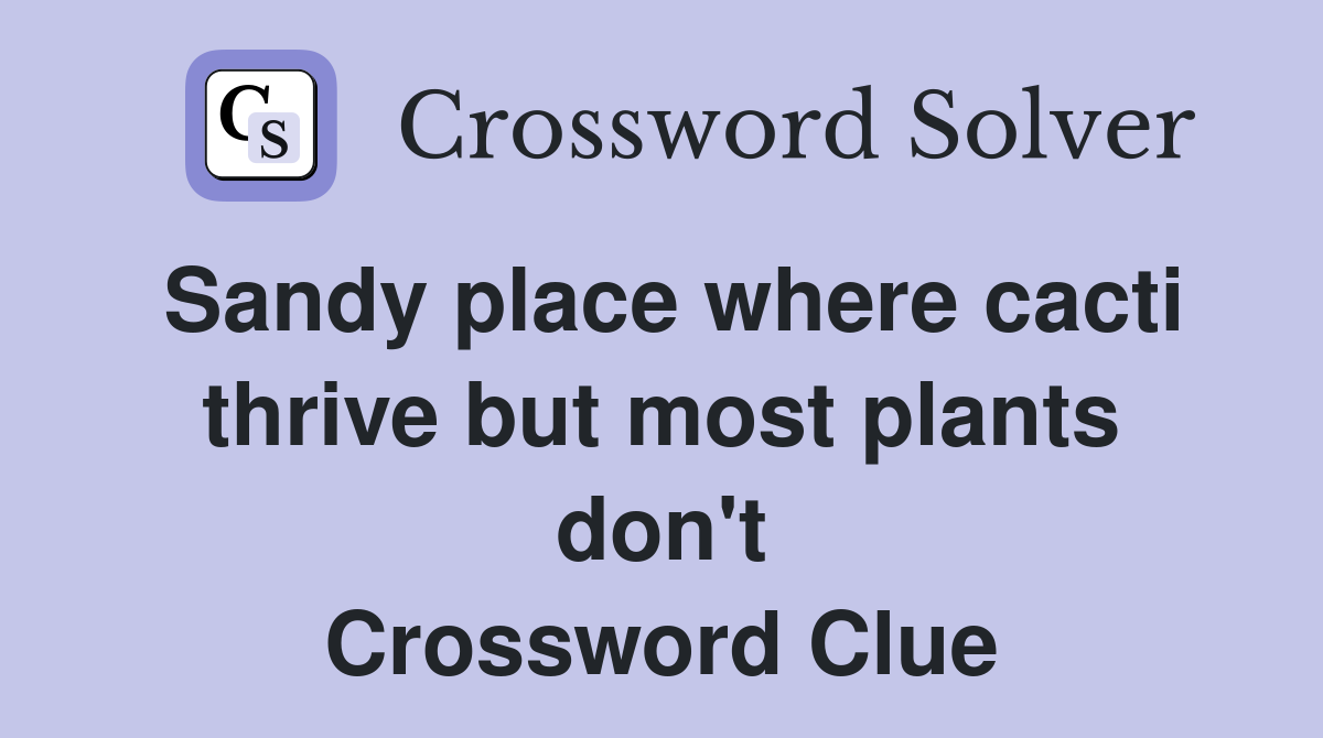 Sandy place where cacti thrive but most plants don't Crossword Clue