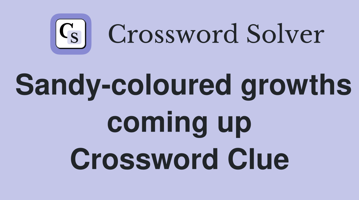 Sandy-coloured growths coming up Crossword Clue