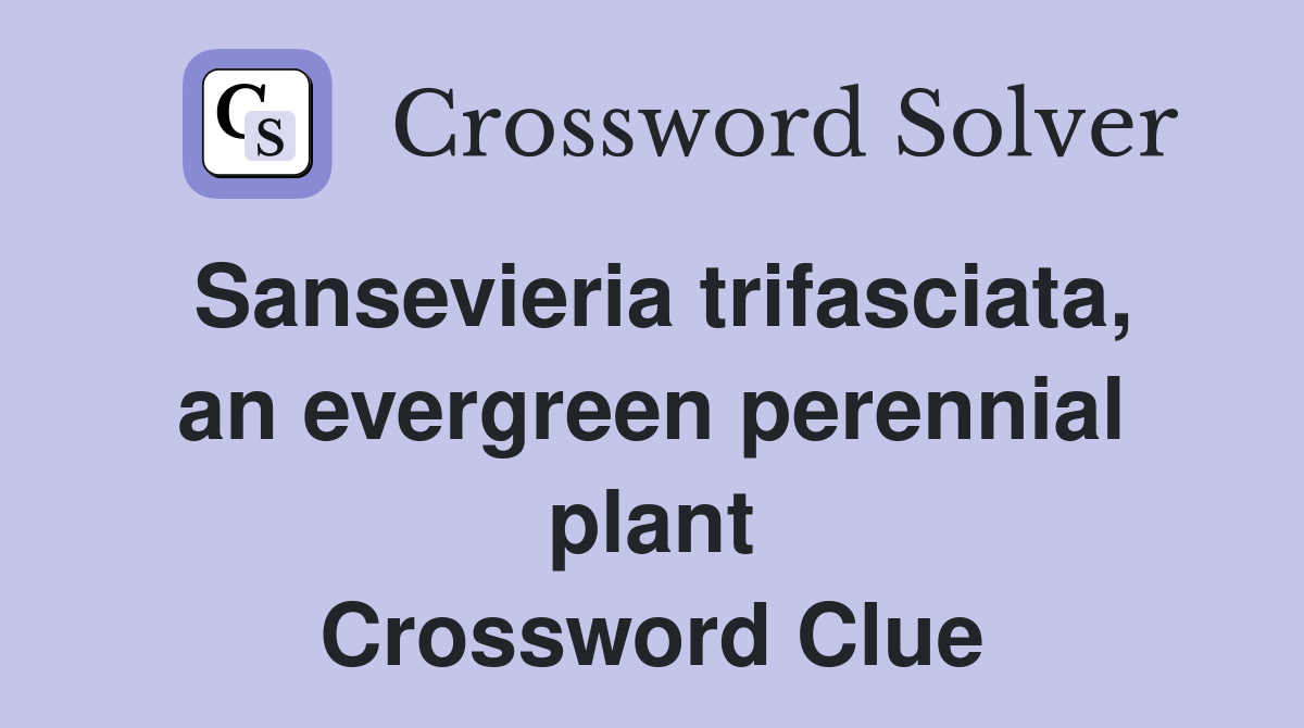 Sansevieria trifasciata, an evergreen perennial plant Crossword Clue
