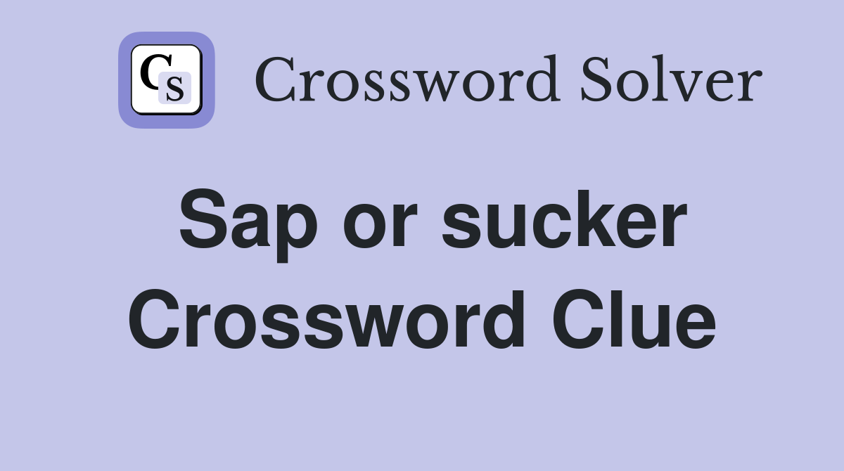 Sap or sucker Crossword Clue