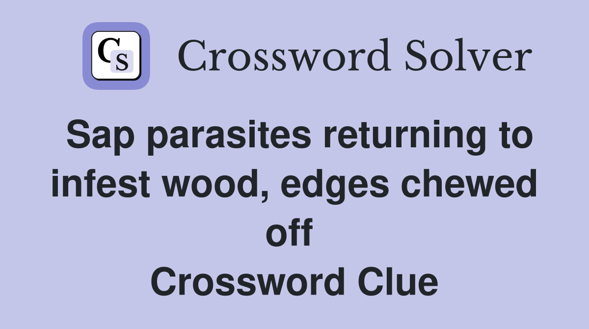 Sap parasites returning to infest wood, edges chewed off  Crossword Clue