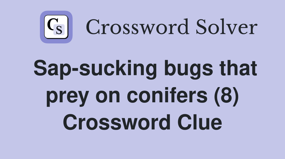 Sap-sucking bugs that prey on conifers (8) Crossword Clue