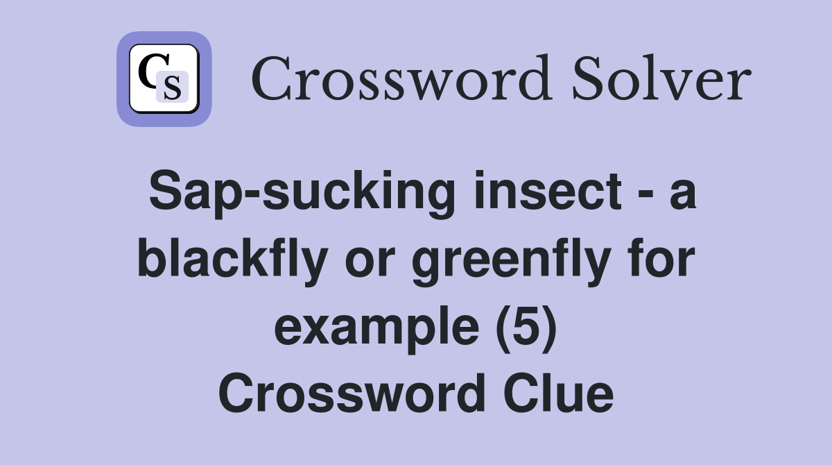 Sap-sucking insect - a blackfly or greenfly for example (5) Crossword Clue