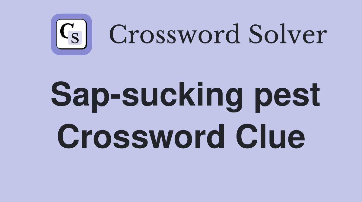 Sap-sucking pest Crossword Clue
