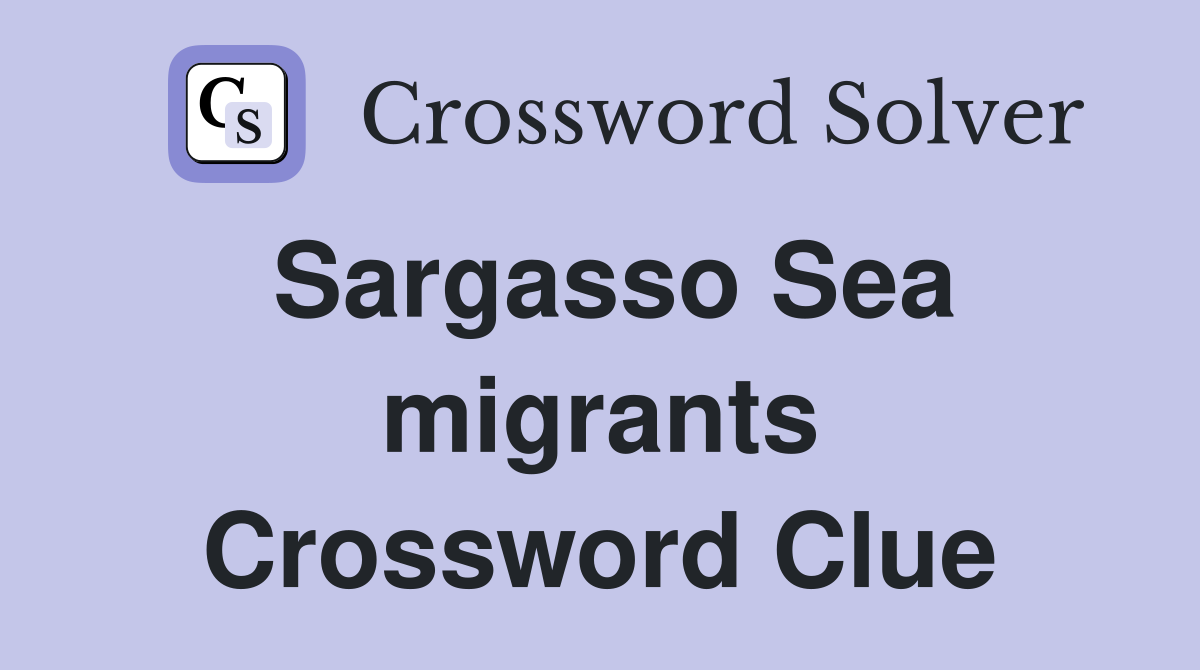 Sargasso Sea migrants Crossword Clue