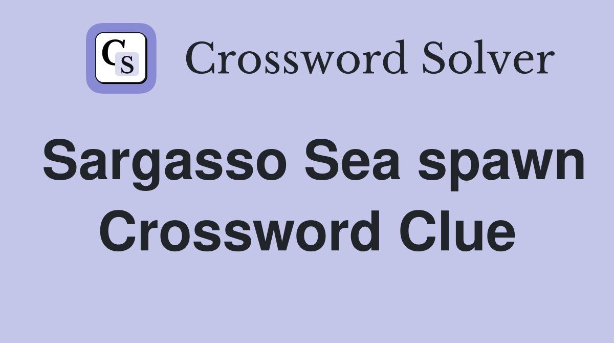 Sargasso Sea spawn Crossword Clue