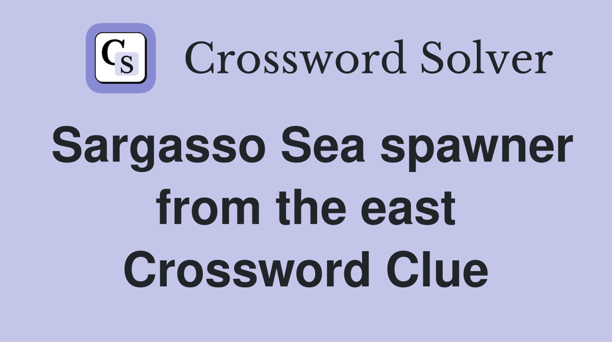 Sargasso Sea spawner from the east Crossword Clue