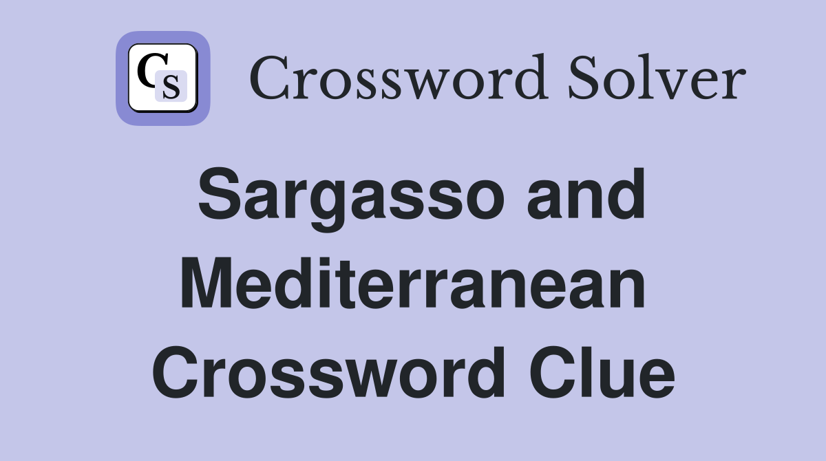 Sargasso and Mediterranean Crossword Clue