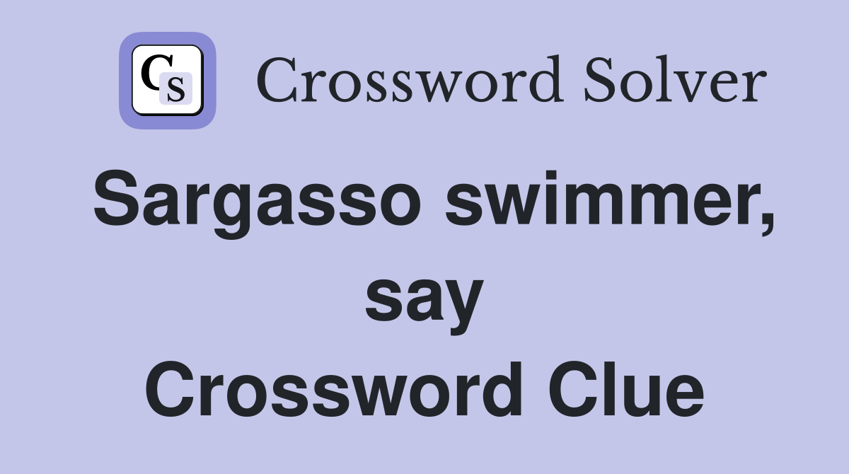 Sargasso swimmer, say Crossword Clue