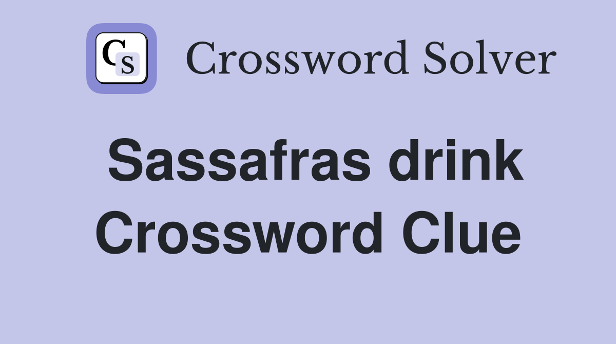 Sassafras drink Crossword Clue