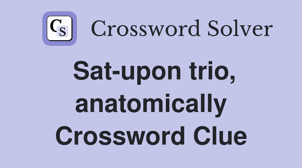 Sat-upon trio, anatomically Crossword Clue