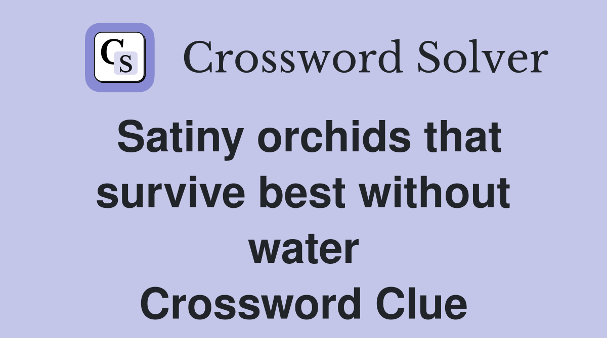 Satiny orchids that survive best without water Crossword Clue