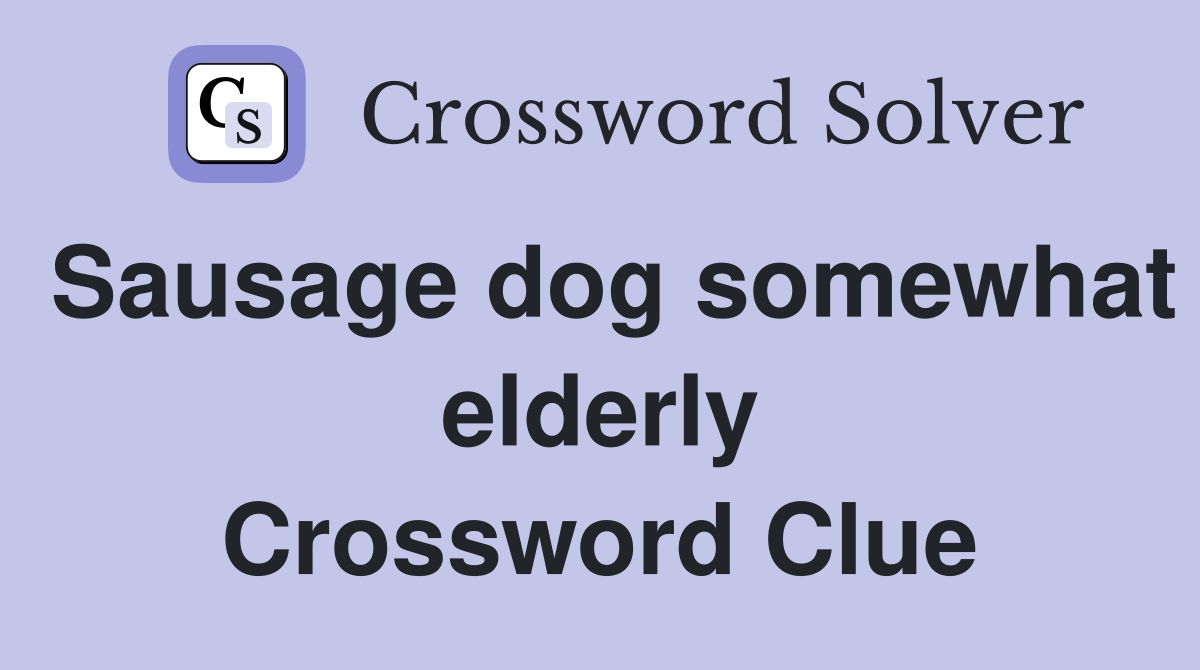 Sausage dog somewhat elderly Crossword Clue