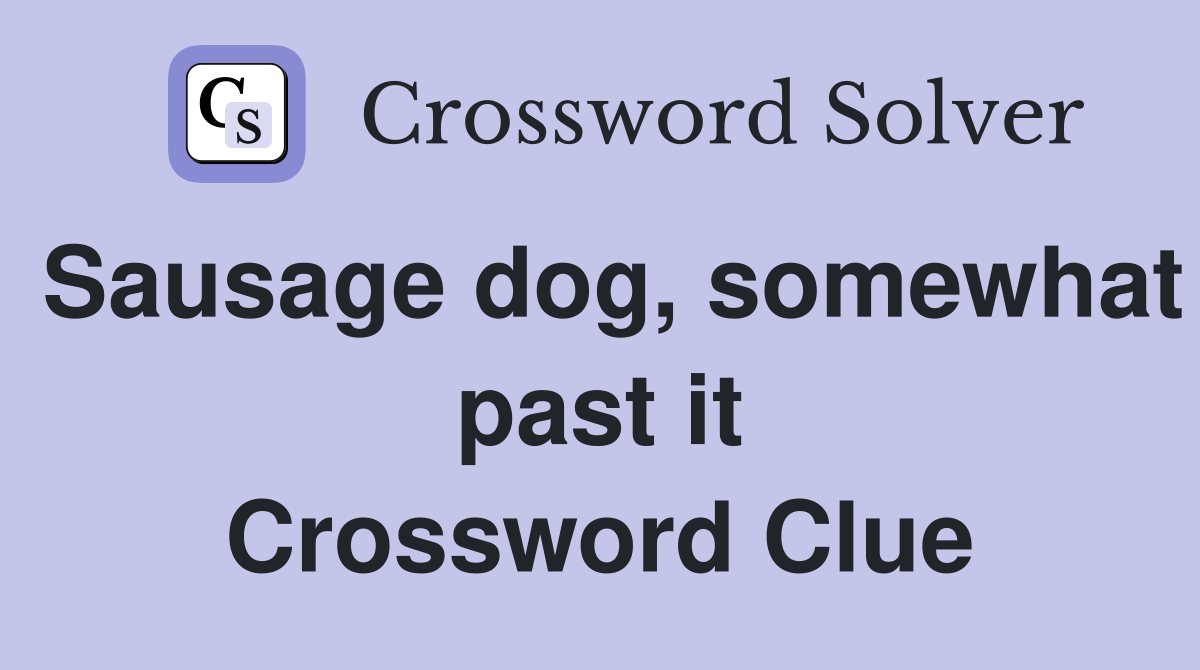Sausage dog, somewhat past it Crossword Clue