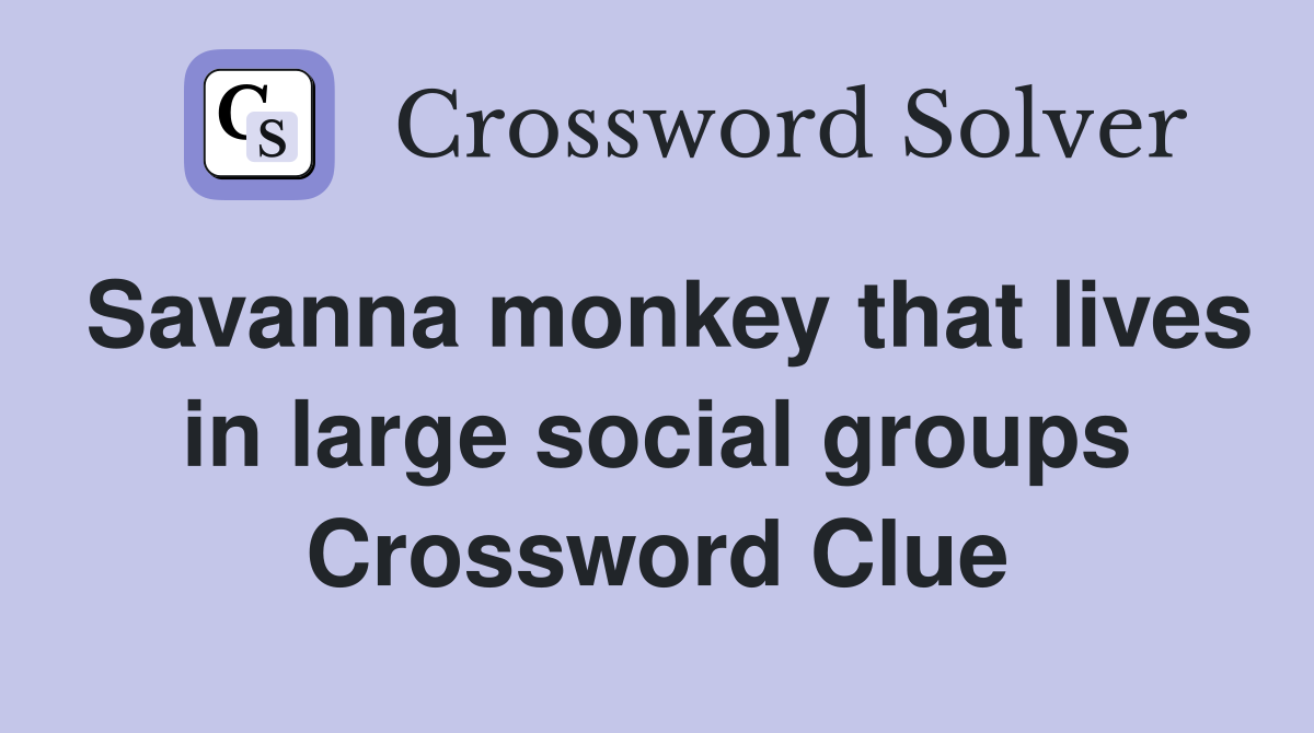 Savanna monkey that lives in large social groups Crossword Clue