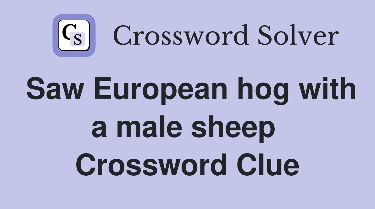 Saw European hog with a male sheep  Crossword Clue