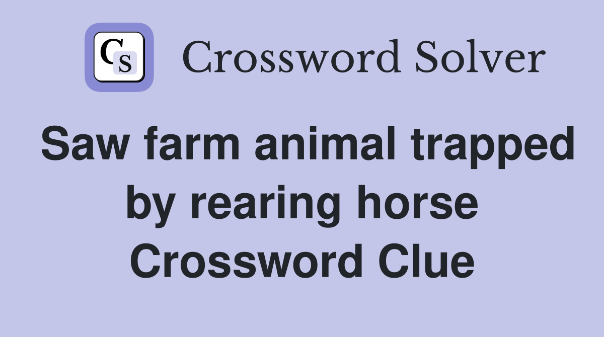 Saw farm animal trapped by rearing horse Crossword Clue