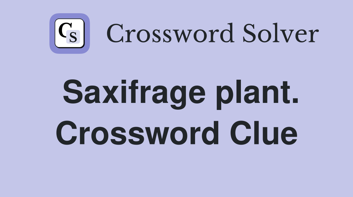 Saxifrage plant. Crossword Clue