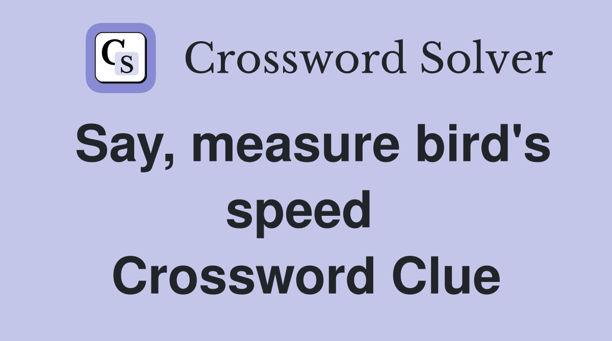 Say, measure bird's speed  Crossword Clue