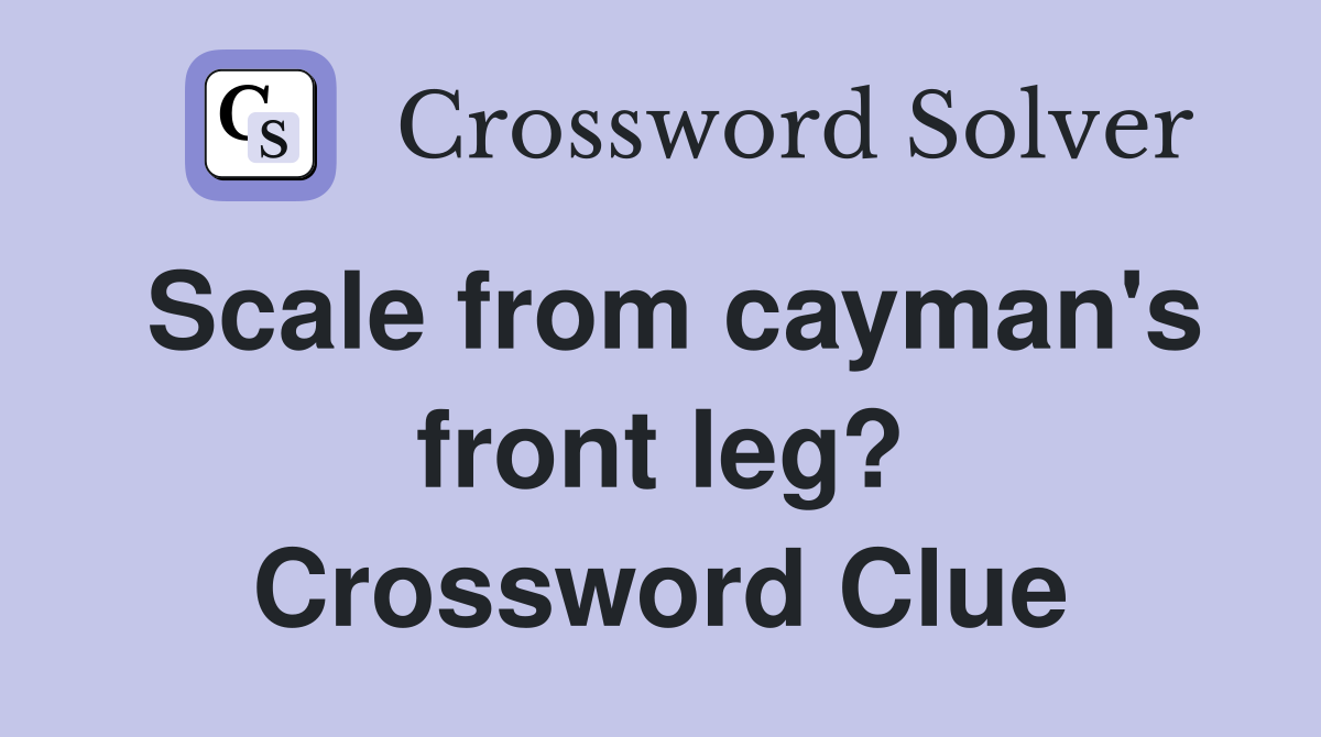 Scale from cayman's front leg? Crossword Clue