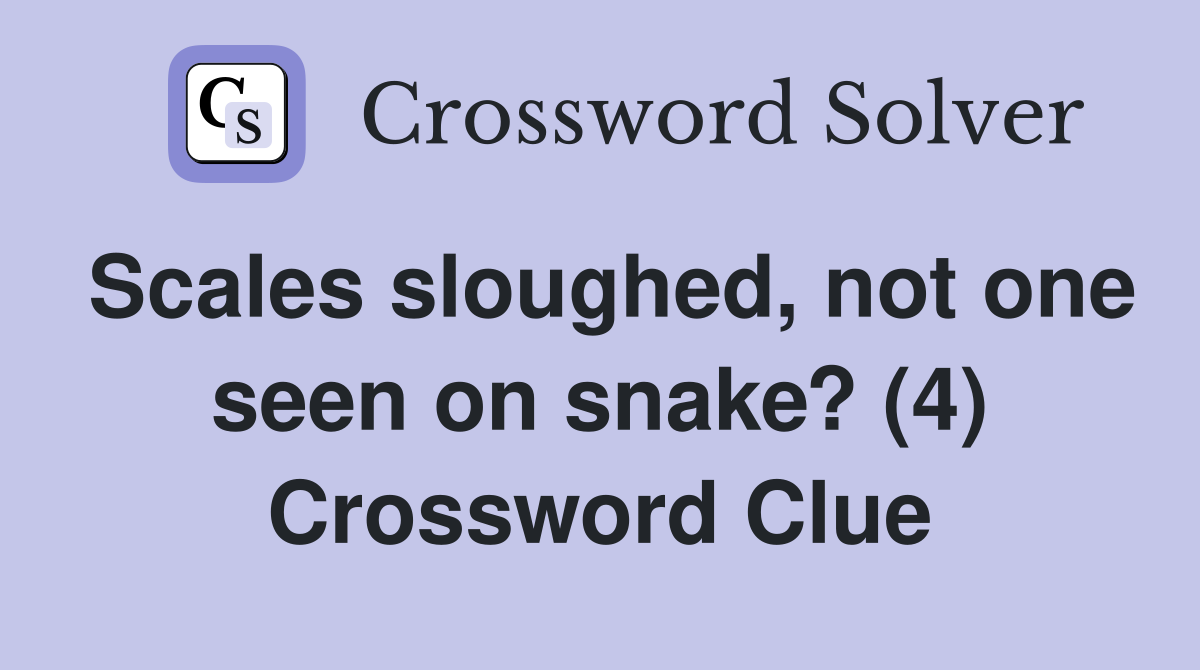 Scales sloughed, not one seen on snake? (4) Crossword Clue