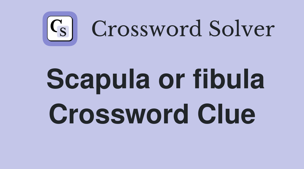 Scapula or fibula Crossword Clue