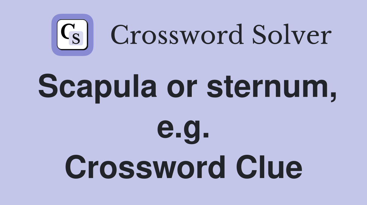 Scapula or sternum, e.g. Crossword Clue