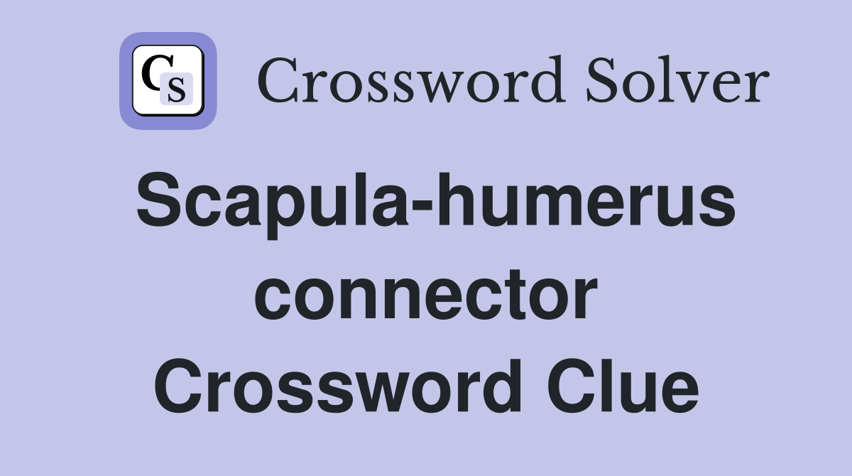 Scapula-humerus connector Crossword Clue
