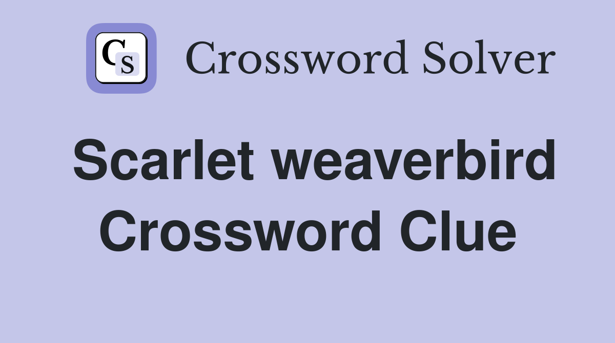 Scarlet weaverbird Crossword Clue