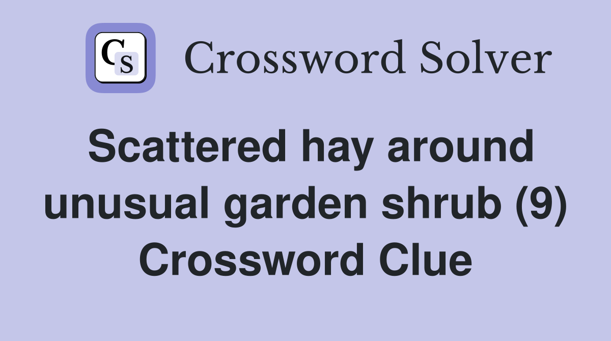 Scattered hay around unusual garden shrub (9) Crossword Clue