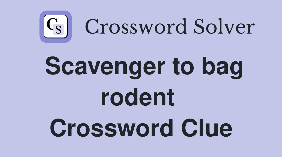 Scavenger to bag rodent  Crossword Clue