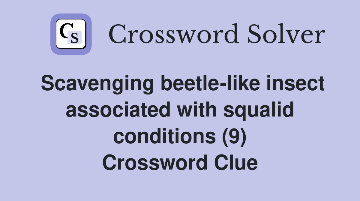 Scavenging beetle-like insect associated with squalid conditions (9) Crossword Clue