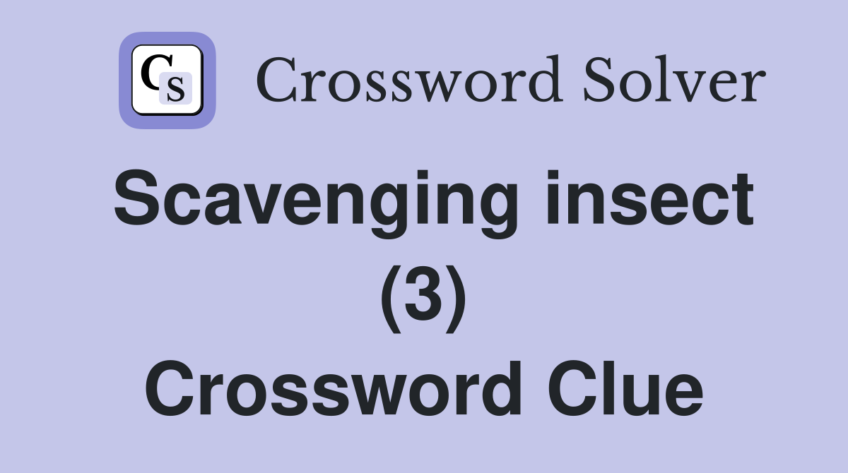 Scavenging insect (3) Crossword Clue