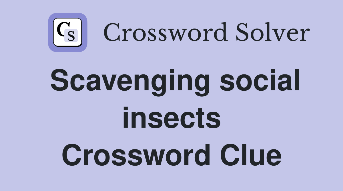 Scavenging social insects Crossword Clue