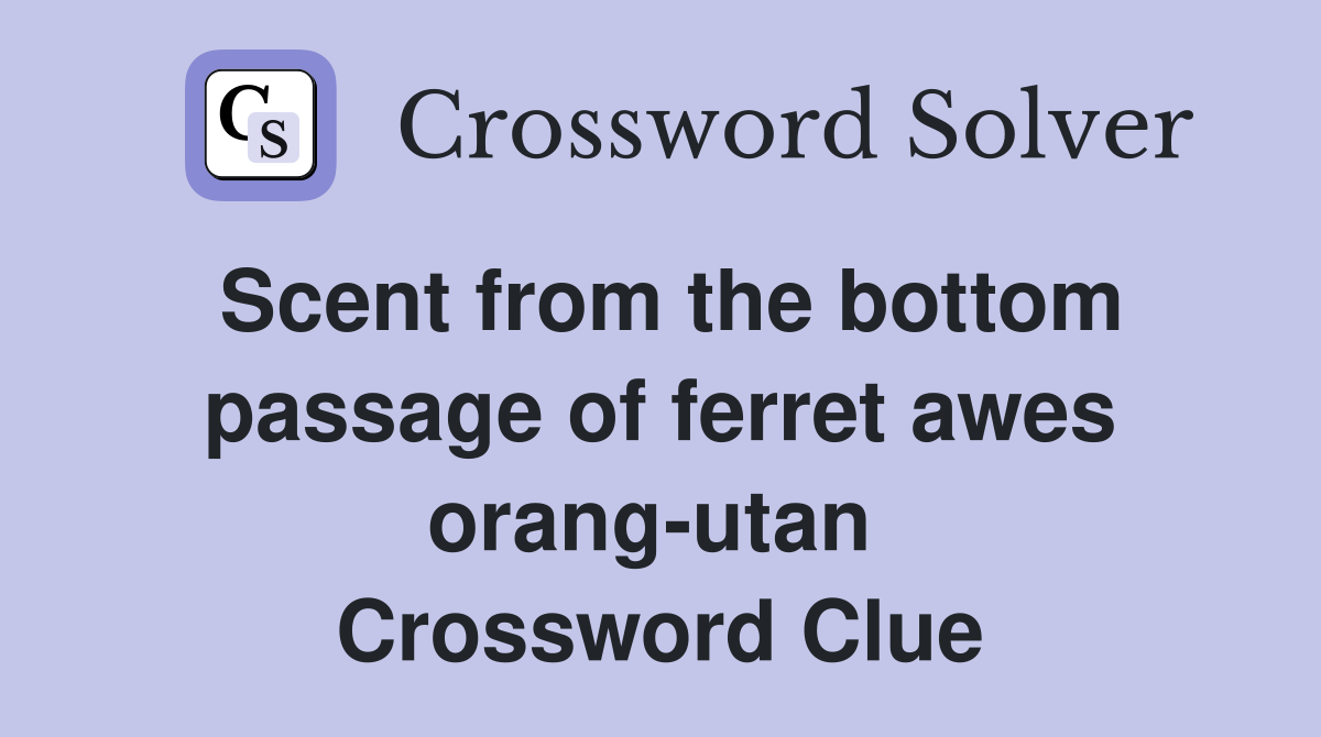 Scent from the bottom passage of ferret awes orang-utan  Crossword Clue