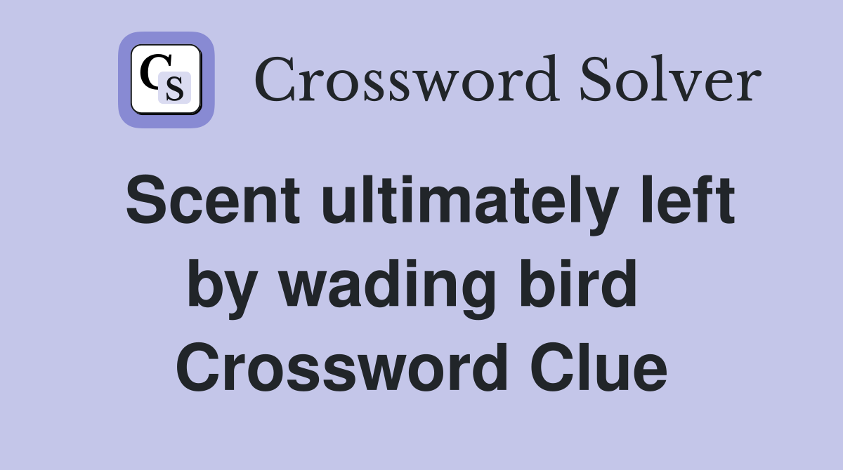 Scent ultimately left by wading bird  Crossword Clue