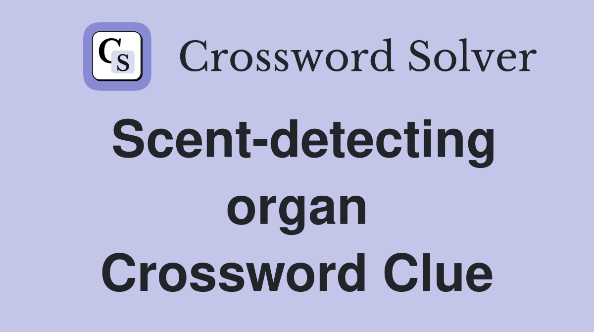 Scent-detecting organ Crossword Clue
