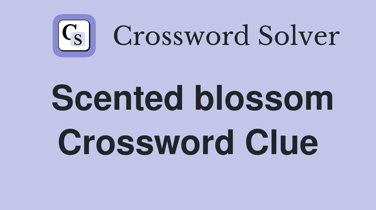 Scented blossom Crossword Clue