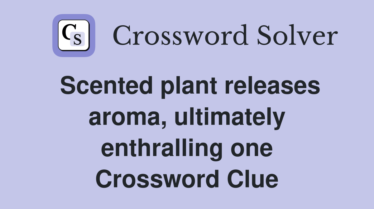 Scented plant releases aroma, ultimately enthralling one Crossword Clue