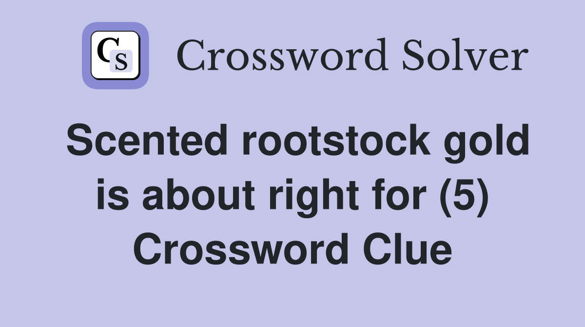 Scented rootstock gold is about right for (5) Crossword Clue