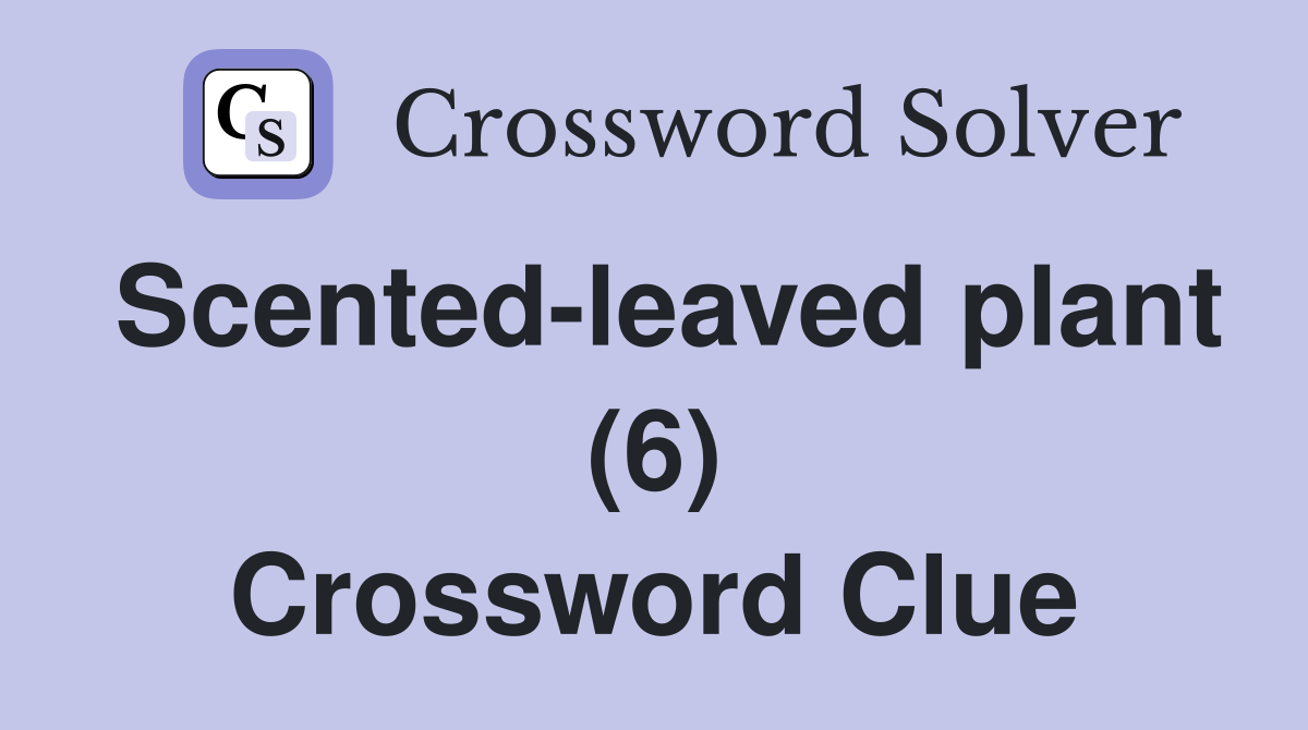 Scented-leaved plant (6) Crossword Clue
