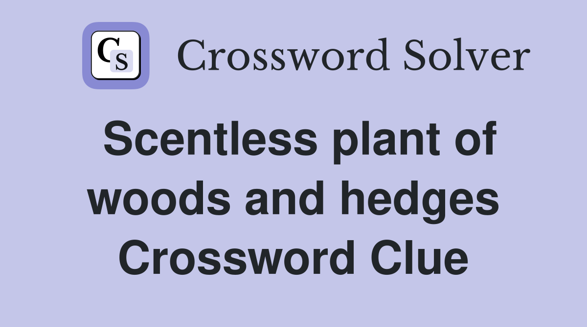 Scentless plant of woods and hedges Crossword Clue